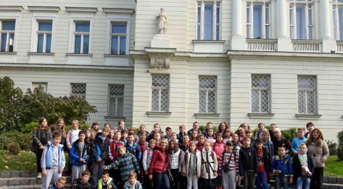 Изложба макета у Музеју Срема