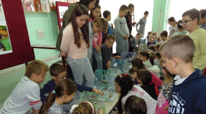 Обележили смо Дечју недељу