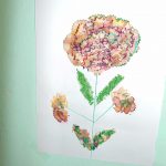 DSC00524
