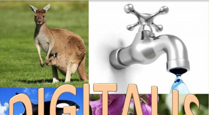 Еколошки часопис “Дигиталис”