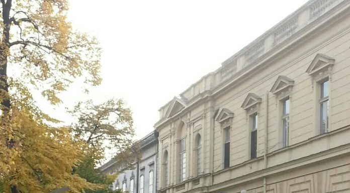 Ученици наше школе присуствовали показној вежби Жандармерије