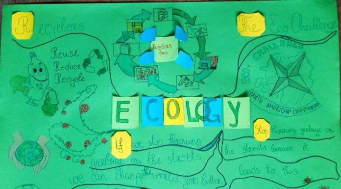 Престани да бацаш смеће (Stop Throwing Garbage)