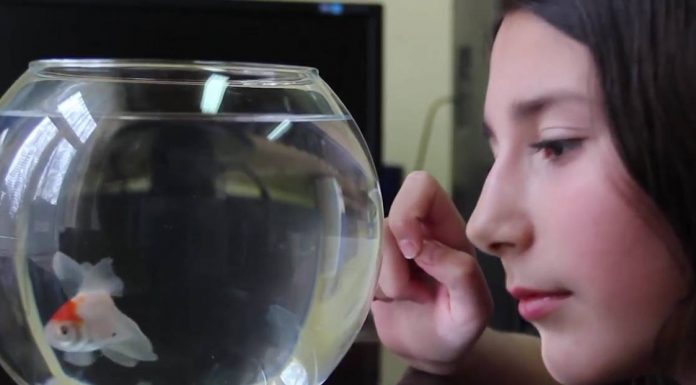 Спасимо воде, спасимо живот (Save water, save life)