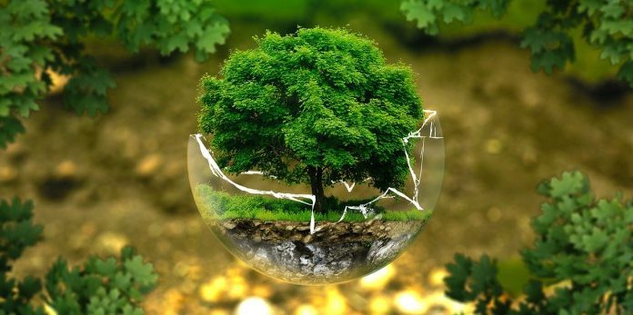 Национална еколошка олимпијада (окружно такмичење)