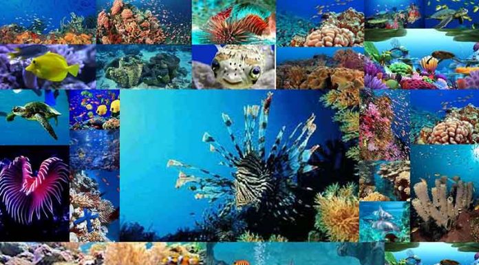 Окружно такмичење из биологије