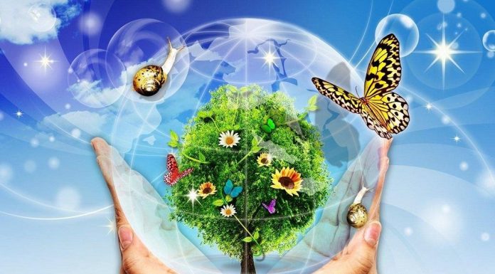 Национална еколошка олимпијада