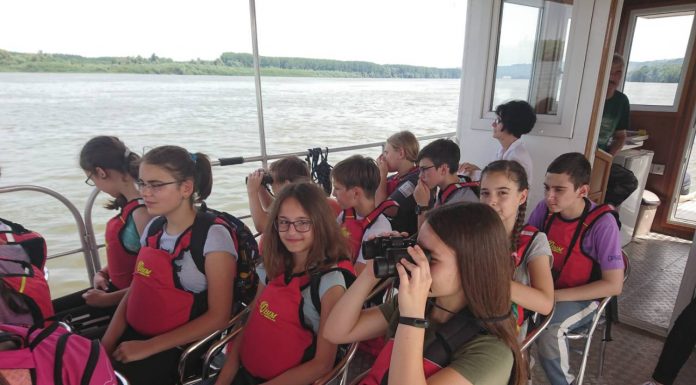 Дружећи се са Покретом горана