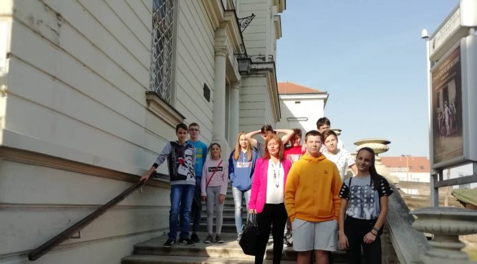 Посета изложби ”САД – Србија, 1918 – 2018, дипломатски и културни односи”