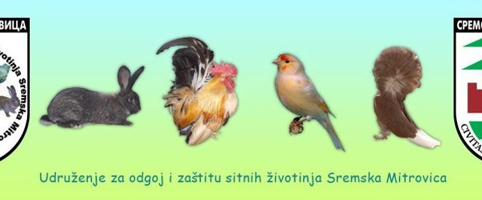 Изложба ситних животиња