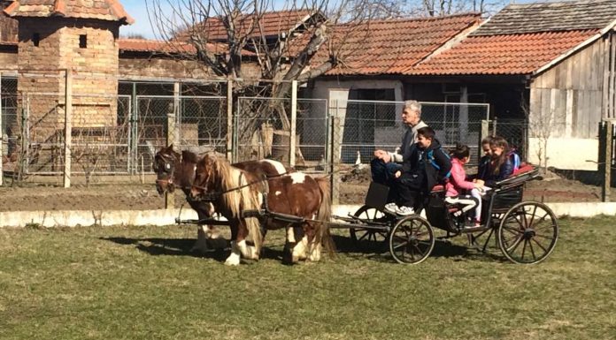 „Питам те, питам“