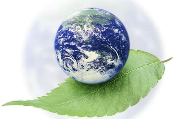 Међународна јуниорска еколошка олимпијада