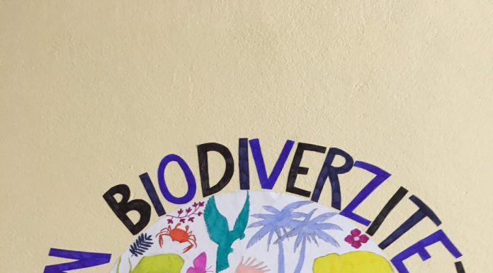Дан биодиверзитета