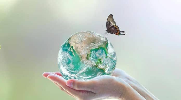 Успех на међународном такмичењу из екологије