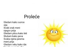 Наши мали песници