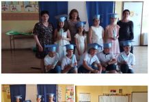 Приредба у Дивошу