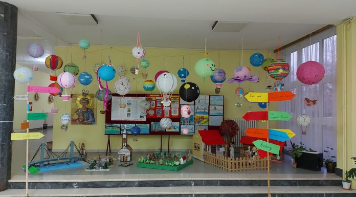 “Моја Митровица”