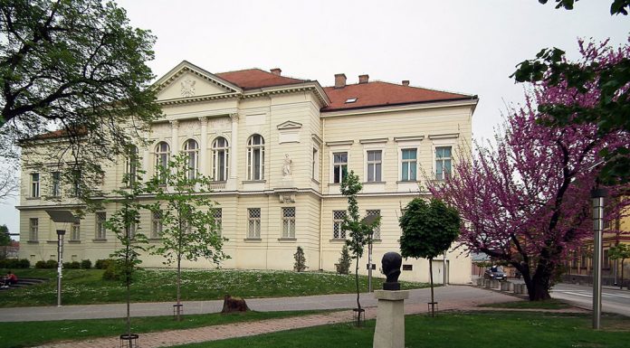 Посета Музеју Срема