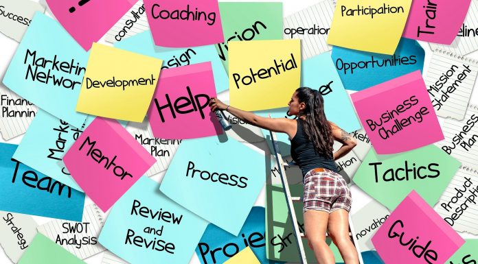 Развијање активности професионалне оријентације у основној школи