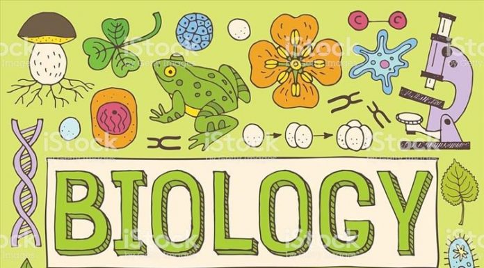 И најбројнији и најуспешнији на општинском такмичењу из биологије