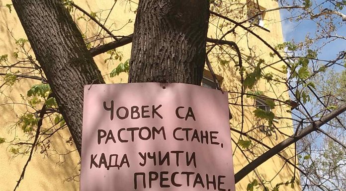 Перманентно усавршавање просветних радника наше школе