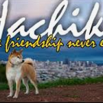 viber_image_2024-02-15_09-12-33-200