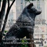 viber_image_2024-02-15_09-15-34-626