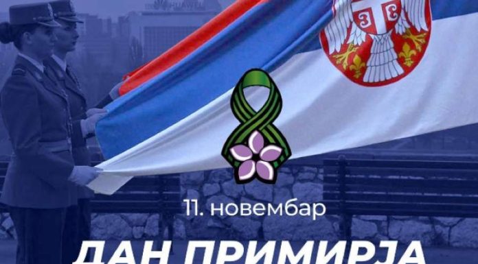 Поводом Дана примирја у Првом светском рату, нерадни дани су 10. (понедељак) и 11. (уторак) новембар. У среду, 12. новембра, ученици од 5. до 8. разреда су преподневна, а ученци од 1. до 4. разреда послеподневна смена.