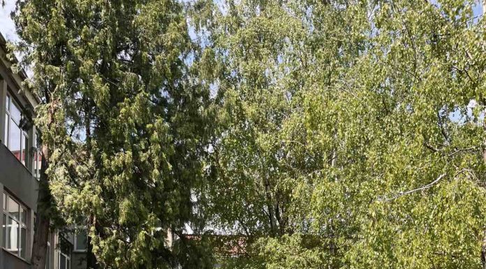 ОКРУЖНО ТАКМИЧЕЊЕ ИЗ САОБРАЋАЈА